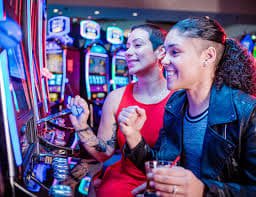 suncity8 Bingo